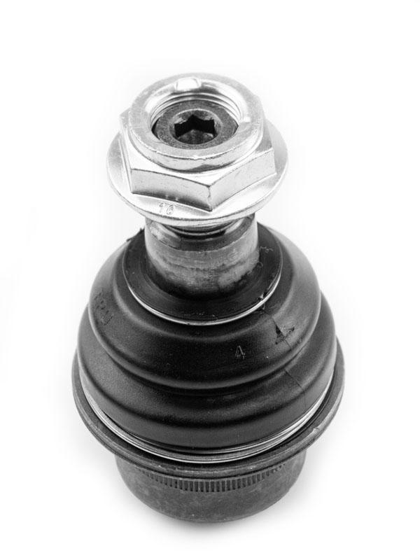 ROTULA INFERIOR
