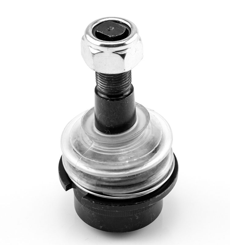 ROTULA SUPERIOR-INFERIOR