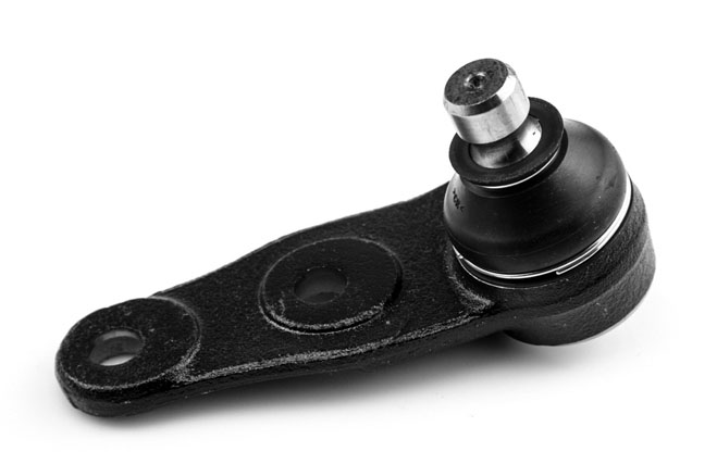 ROTULA INFERIOR IZQUIERDO