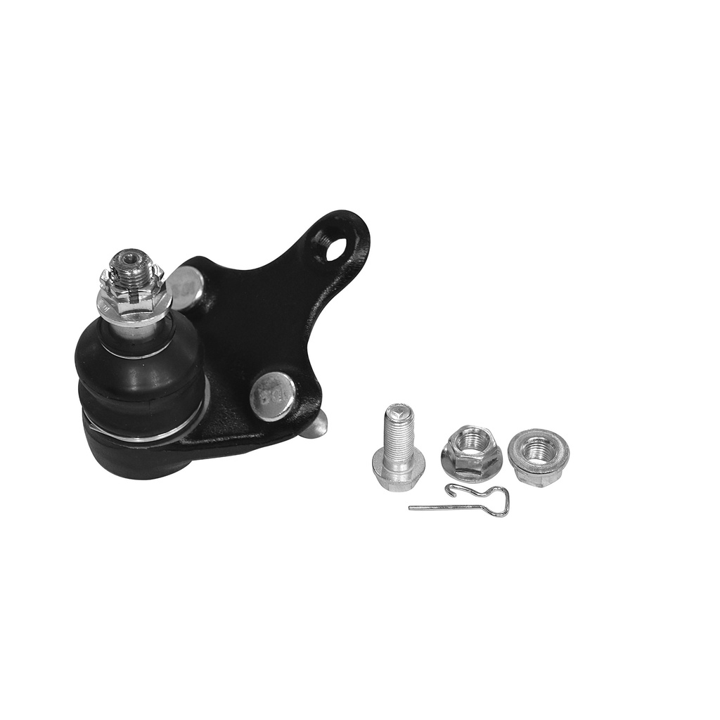 ROTULA