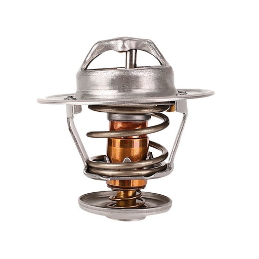 [K2028.83 KG] TERMOSTATO