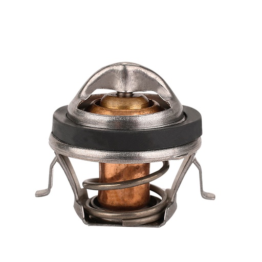 [K207.82 KG] TERMOSTATO
