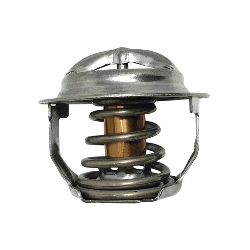 [K2094.76 KG] TERMOSTATO