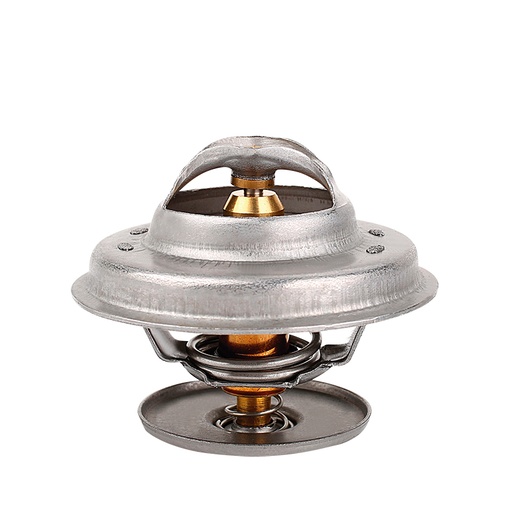 [K248.83 KG] TERMOSTATO