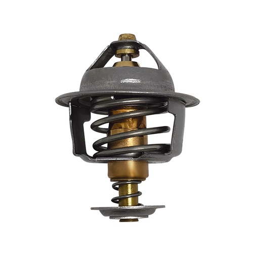 [K267.71 KG] TERMOSTATO
