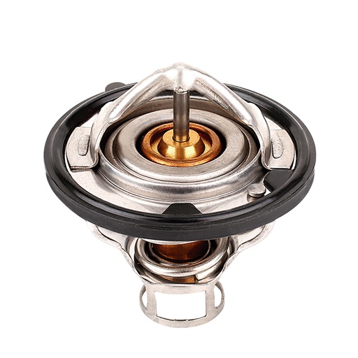 [K268.77 KG] TERMOSTATO