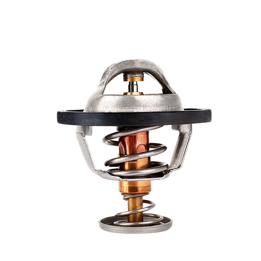[K281.76 KG] TERMOSTATO