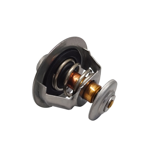 [K298.82 KG] TERMOSTATO