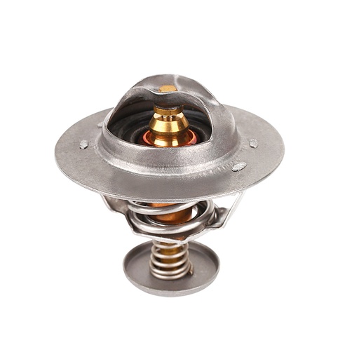 [K302.82 KG] TERMOSTATO