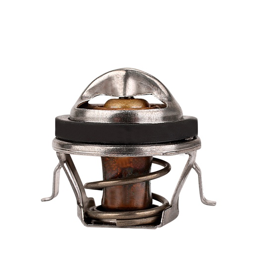[K306.82 KG] TERMOSTATO