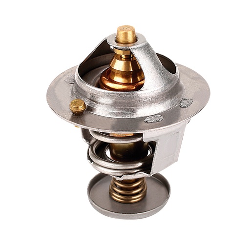 [K319.82 KG] TERMOSTATO