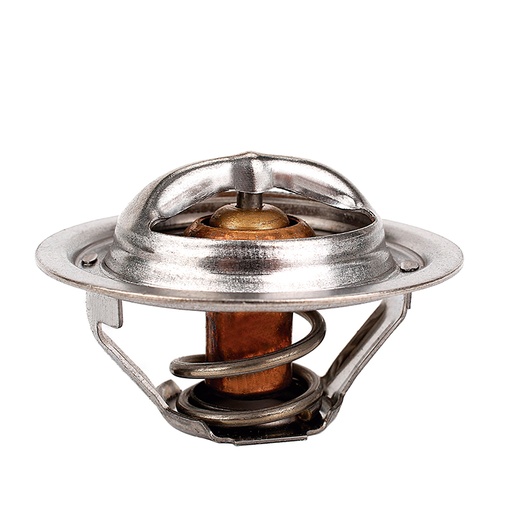 [K320.77 KG] TERMOSTATO