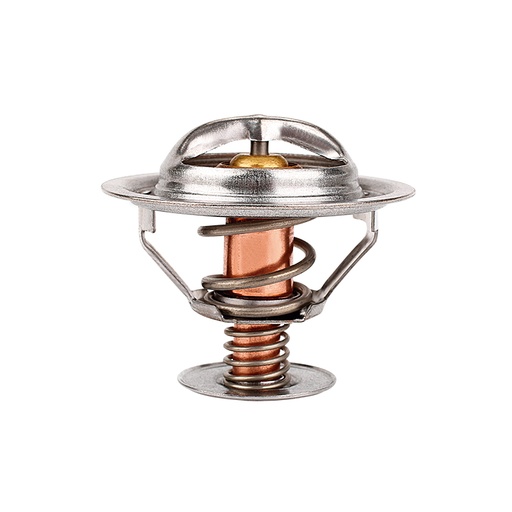 [K334.82 KG] TERMOSTATO
