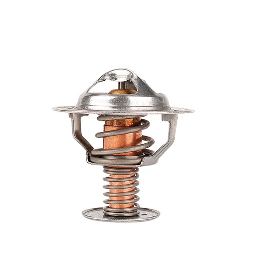[K338.91 KG] TERMOSTATO