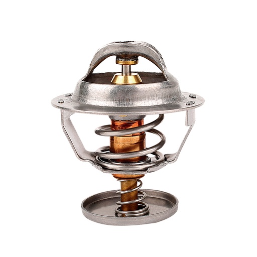 [K354.82 KG] TERMOSTATO
