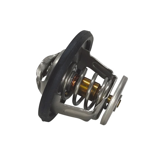 [K416.95 KG] TERMOSTATO
