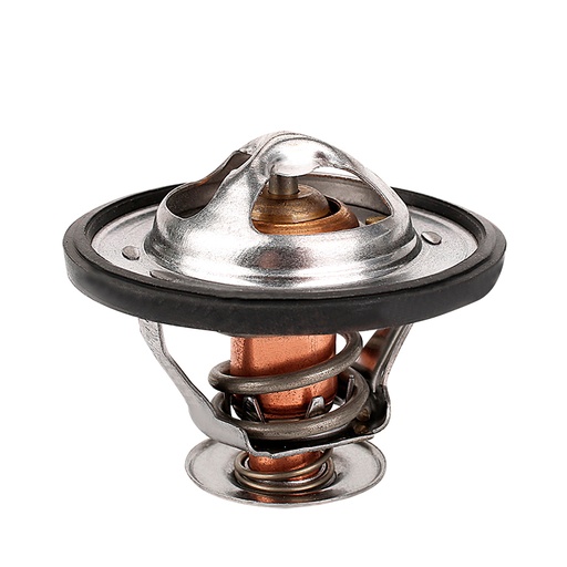 [K427.82 KG] TERMOSTATO