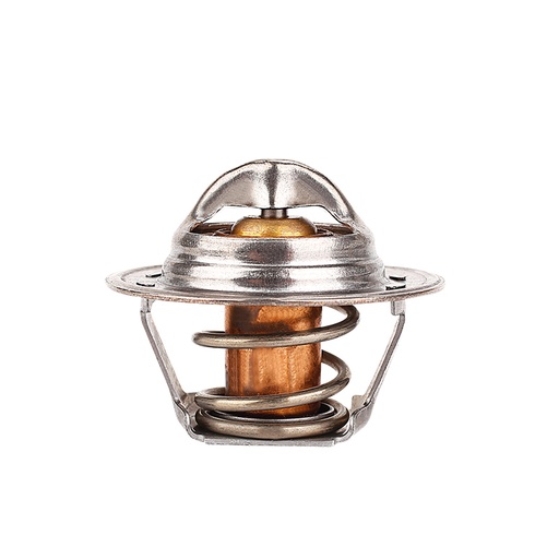 [K465.91 KG] TERMOSTATO