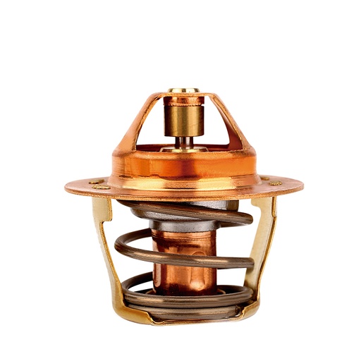 [K474.82 KG] TERMOSTATO