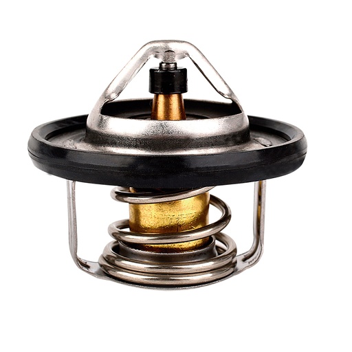 [K647.82 KG] TERMOSTATO