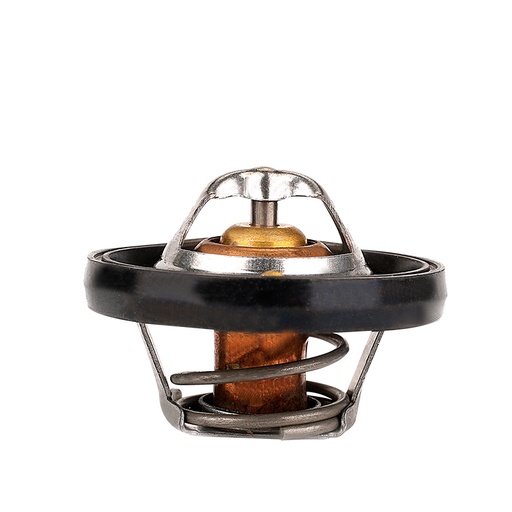 [K656.91 KG] TERMOSTATO