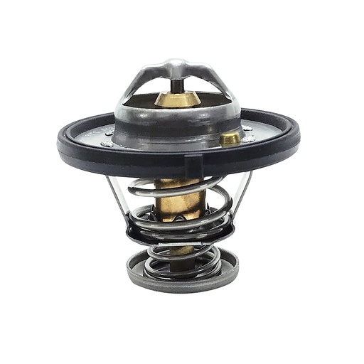 [K658.77 KG] TERMOSTATO