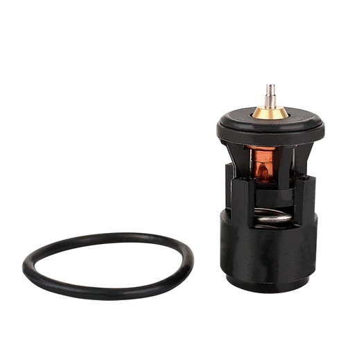 [K741.87 KG] TERMOSTATO