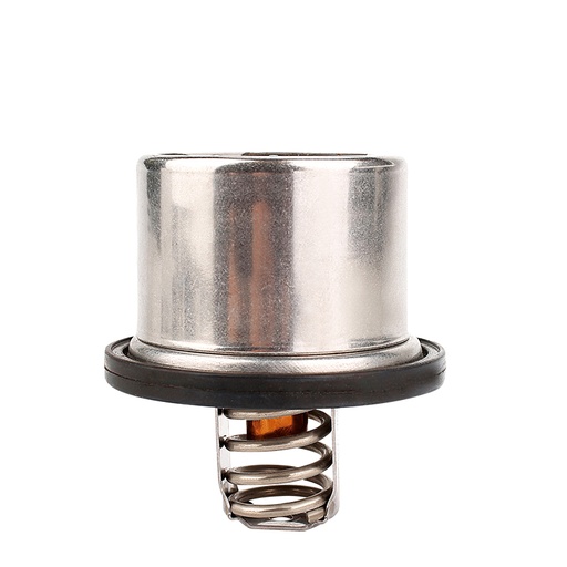 [K880.88 KG] TERMOSTATO