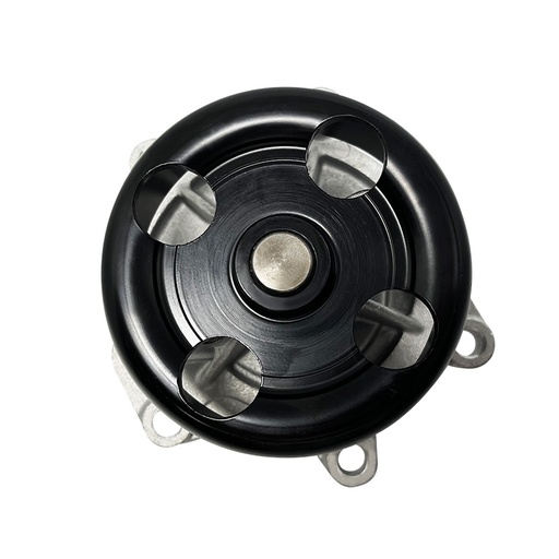 [KGP-2101 KG] BOMBA DE AGUA