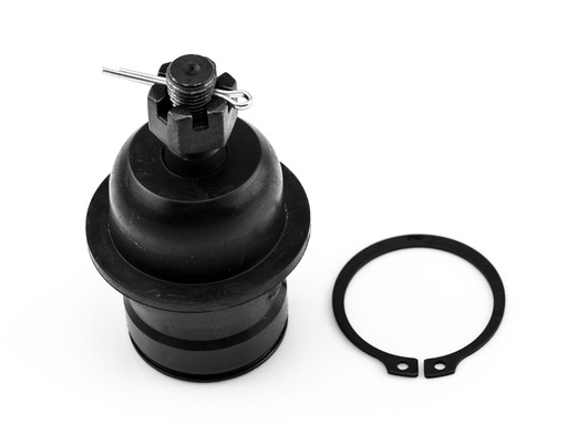 [K-7155 SYD] ROTULA INFERIOR