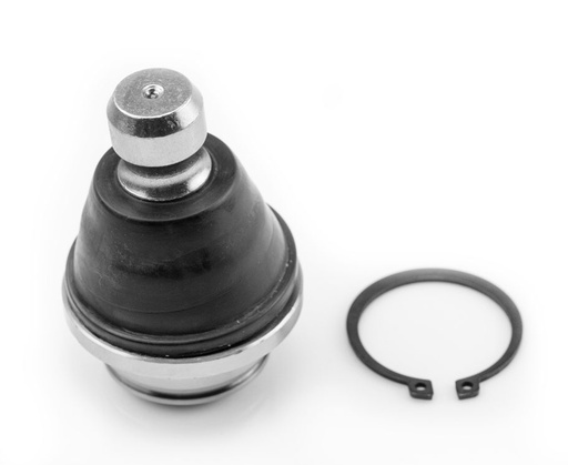 [1016008 SYD] ROTULA INFERIOR