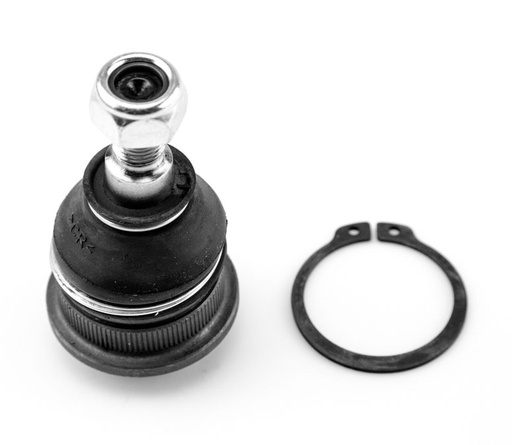 [1027001 SYD] ROTULA INFERIOR