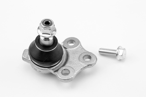 [1019005 SYD] ROTULA INFERIOR