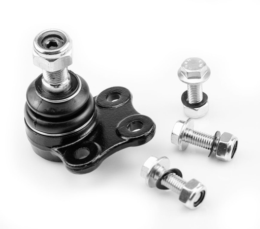 [1019002 SYD] ROTULA INFERIOR