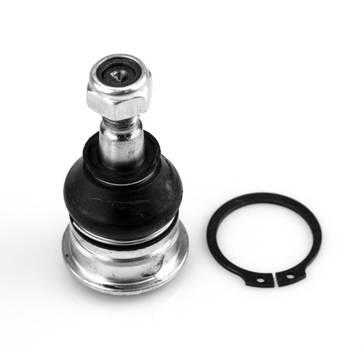 [1025005 SYD] ROTULA INFERIOR