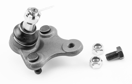 [1025028 SYD] ROTULA INFERIOR