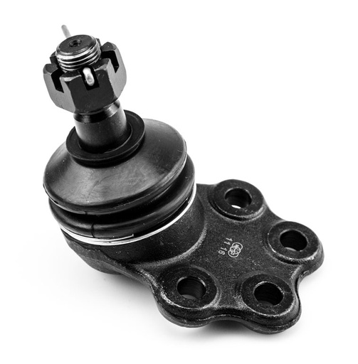 [K-7241 SYD] ROTULA INFERIOR