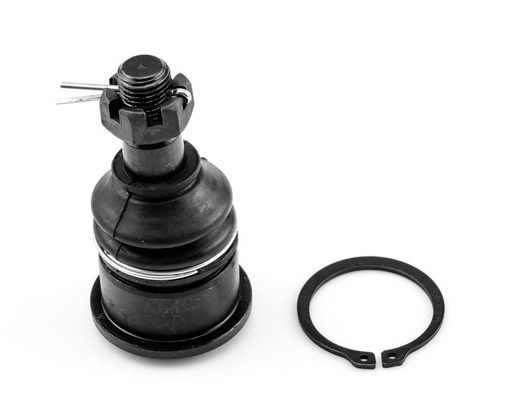 [104217 SYD] ROTULA INFERIOR