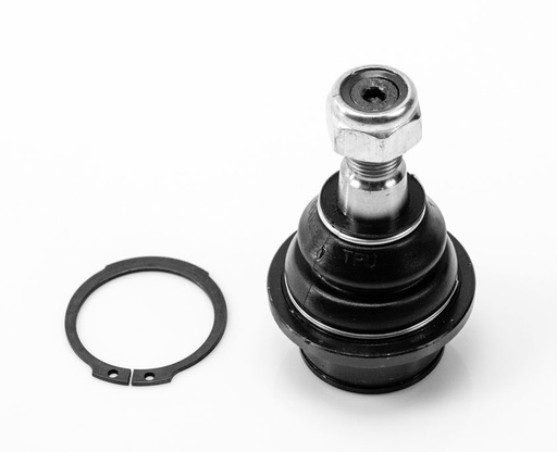[1008016 SYD] ROTULA INFERIOR